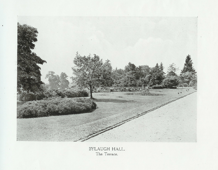 Terrace 3